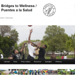 Bridges To Wellness Header