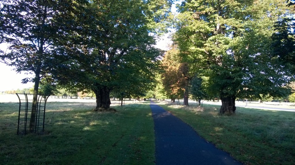 Phoenix Park